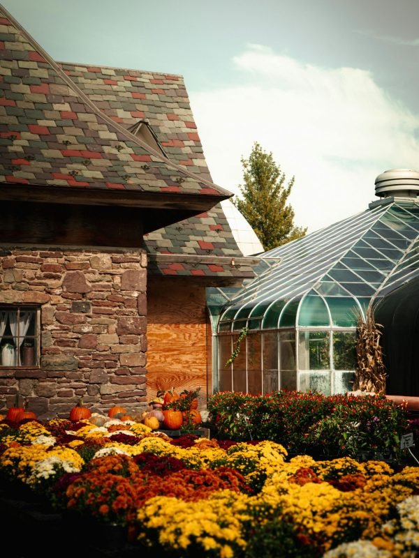 pexels-handespics-35087966